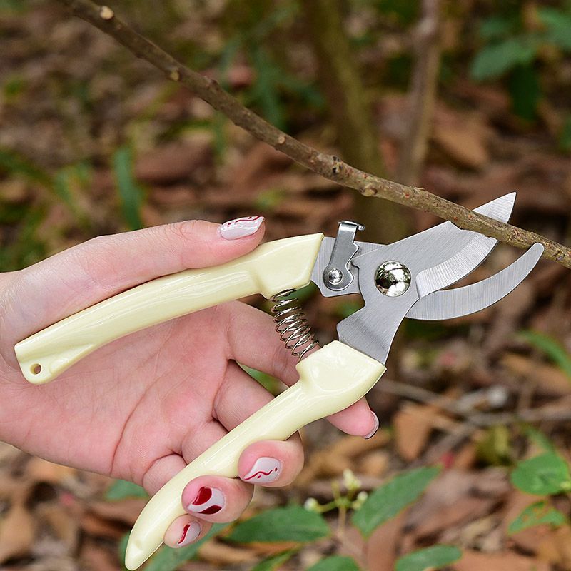 Gardening Tools Basic - Labor‑Saving Garden Pruning Shears, Professional Hand