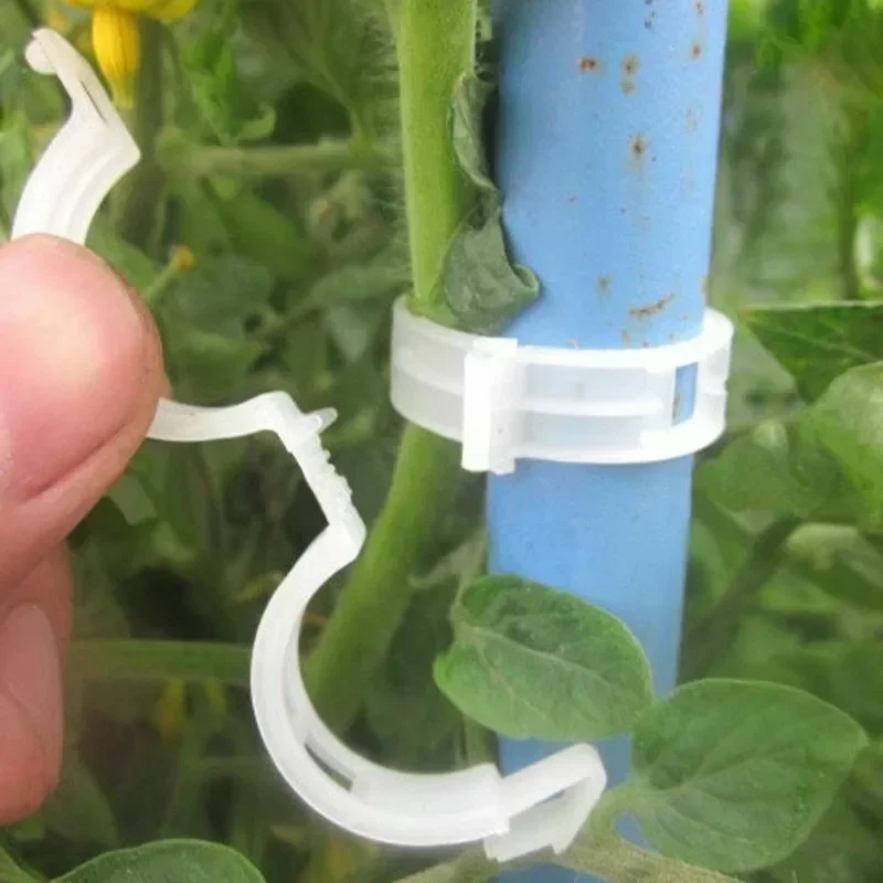 50-300PCS Plant Support Clips  - огляд і ціна Gardening Tools For Vines