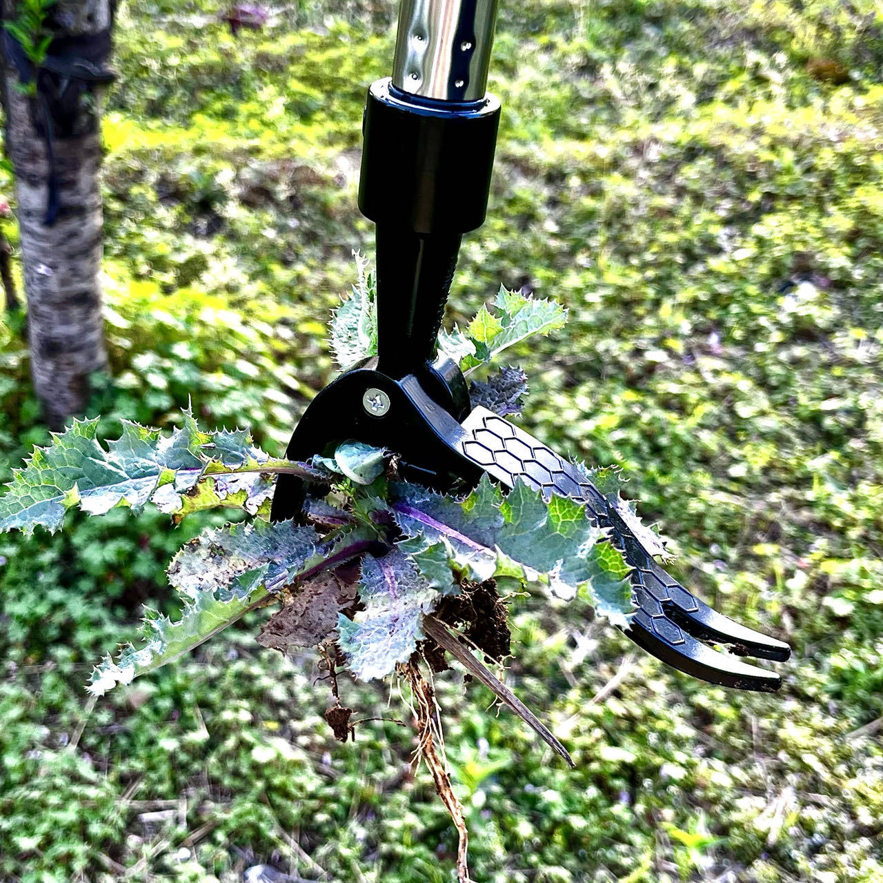 Save Labour Hand Metal Weed Ex - огляд і ціна Gardening Tools You Need