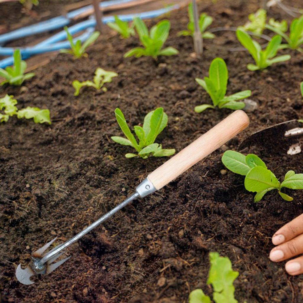 Garden Weeding Tool Gardening  - огляд і ціна Gardening Tools For Digging